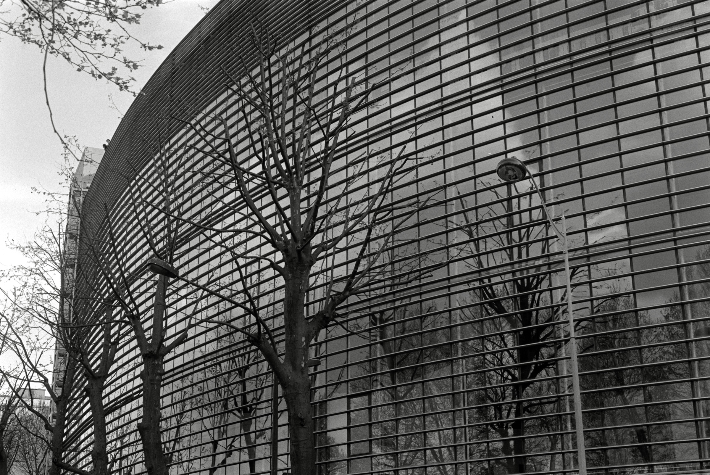 AHP F1993 04 001 sc240903 img02 NLP